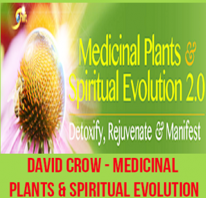 David Crow – Medicinal Plants & Spiritual Evolution 2.0 at Tenlibrary.com