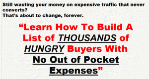 [ON SALE] WSOTD – List Building INSANITY! Build A List of THOUSANDS of HUNGRY Buyers FAST!