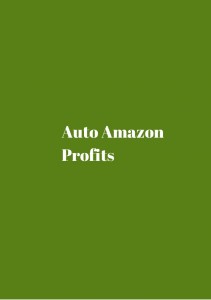 [WSO] – Auto Amazon Profits