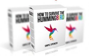 Survive The Hummingbird