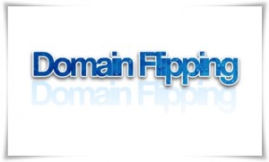 [WSO] – Domain Flipping (Recommended)