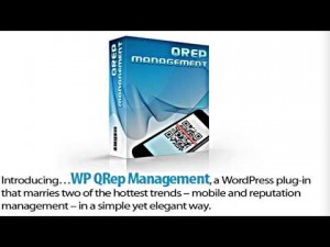 [WSO] – WP QRep Management