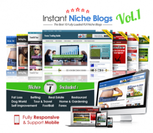 PLR Instant Niche Blogs Collection 2014