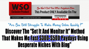 [BFC Blueprint] Discover How I Make $300-$500 Paydays Using Bing Set It And Monitor It Campaigns !!!