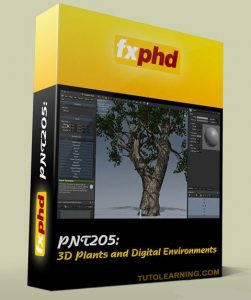 FXPHD_PNT205_3D_Plants_and_Digital_Environments