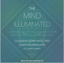 The Mind Illuminated is the first how-to meditation at Tenlibrary.com