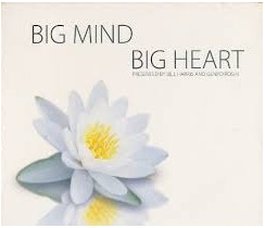 This groundbreaking two DVD set of the Big Mind process was filmed in 2004 at Tenlibrary.com