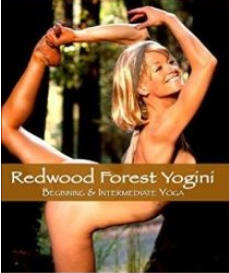 Imagine having your own personal nude yoga teacher at Tenlibrary.com