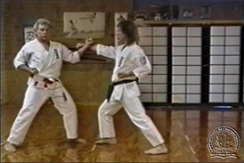This video collection is the most comprehensive presentation of Okinawas Shorin Ryu Karate ever put on video at Tenlibrary.com