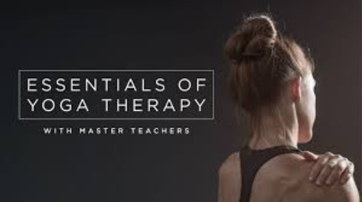 Join expert teachers in yoga anatomy and yoga therapy and take classes that explore neck and shoulder pain, back pain, stress, depression and anxiety, hamstring health, and in-depth anatomical lessons.