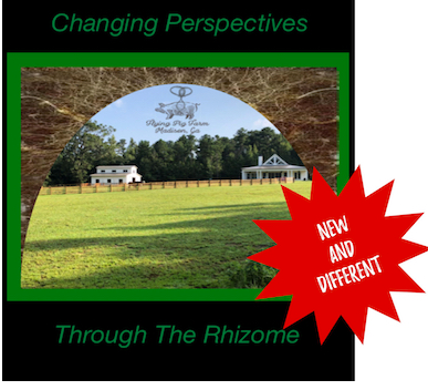 This is taken from a recent Rhizomatic Practitioner Training at Flying Pig Farm.  This includes a full-out powerful demonstration for unwanted fight and flight states and and in-depth information on using primary perceptual processes to effect resilient, flexible change.