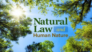 This course traces the origins and consequences of the theory of natural law at Tenlibrary.com