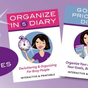 Here's a quick overview of the Organize In 5 Diary (one of the diaries in the course) by Craig, our Customer Support Manager at Tenlibrary.com
