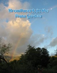 This Breathwork Seminar and Guided Breathing Session was recorded on Feb 21, 2014 at Baja Bio Sana in Los Cabos At tenco.pro
