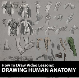 In this comprehensive 9.5 Hour video course,  animator, director and concept artist Aaron Blaise (“The Lion King”, “Aladdin”, “Mulan”, “Brother Bear”)