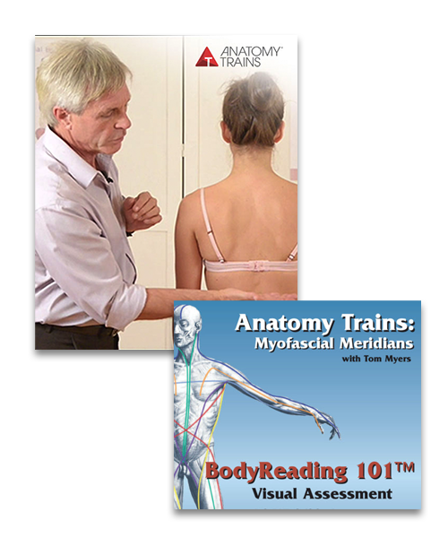 Tom-Myers-–-BodyReading-Visual-Assessment-of-the-Anatomy-Trains-Video-Series-BodyReading-101-Video1